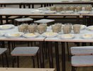 Поставщик школьного питания обвинил мэрию Воронежа в ограничении конкуренции на торгах