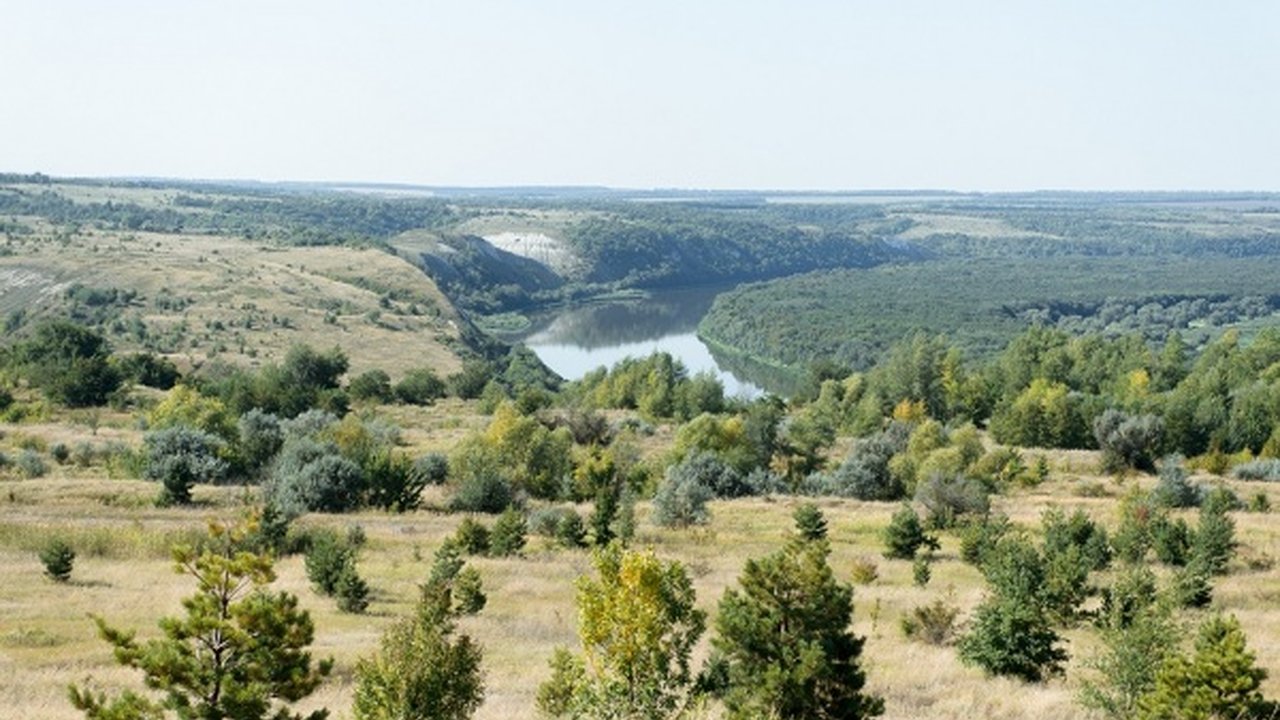 Главная картинка новости: Вблизи будущих строек «Агроэко» под Воронежем создадут природный заказник