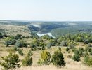 Вблизи будущих строек «Агроэко» под Воронежем создадут природный заказник