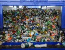 Французы разберутся в воронежском мусоре