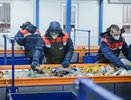 В Воронежской области заключенных привлекут к мусоропереработке 