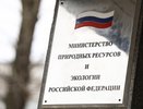 Бывший депутат воронежской облдумы может возглавить федеральную структуру 