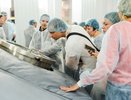 «Воронежский пивзавод» подвел итоги фотоконкурса 