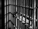 Суд арестовал владельца воронежской сети АЗС «Калина Ойл»