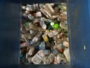 Воронежские власти снизили стоимость вывоза мусора