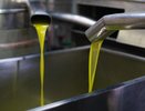 Воронежский маслозавод «Атлам» ушел под наблюдение 