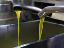 Воронежский маслозавод «Атлам» обанкротился