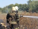 Воронежская мэрия подумает о собственнике иловых карт на Антокольского