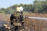 Миниатюра новости: Воронежская мэрия подумает о собственнике иловых карт на Антокольского