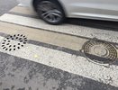 На разметку для воронежских дорог направят 123 млн рублей 