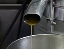 ГК «Благо» удвоит мощности воронежского маслозавода-банкрота «Эртильский»