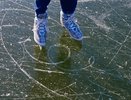 В воронежском Центральном парке и на Советской площади могут появиться два открытых катка 
