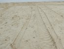 Спор вокруг намывного участка воронежского водохранилища обернулся уголовным делом