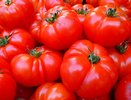 Несостоявшийся инвестор тепличного комплекса в Воронежской области признан банкротом