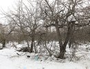 Яблоневые сады под школу: воронежцы определили судьбу земельного участка на Московском проспекте