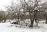 Миниатюра новости: Яблоневые сады под школу: воронежцы определили судьбу земельного участка на Московском проспекте