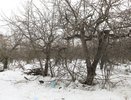 В Воронеже девелоперы поборются за землю у яблоневых садов