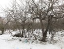 Воронежский бизнесмен заплатит за землю у яблоневых садов 1,2 млрд рублей