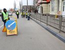 В Воронеже перестанут красить бордюры и деревья
