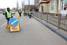Миниатюра новости: В Воронеже перестанут красить бордюры и деревья