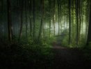 Воронежский заповедник заинтересовался своим прошлым