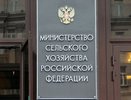 Минсельхоз одобрил 9,4 млрд рублей краткосрочных кредитов воронежским аграриям