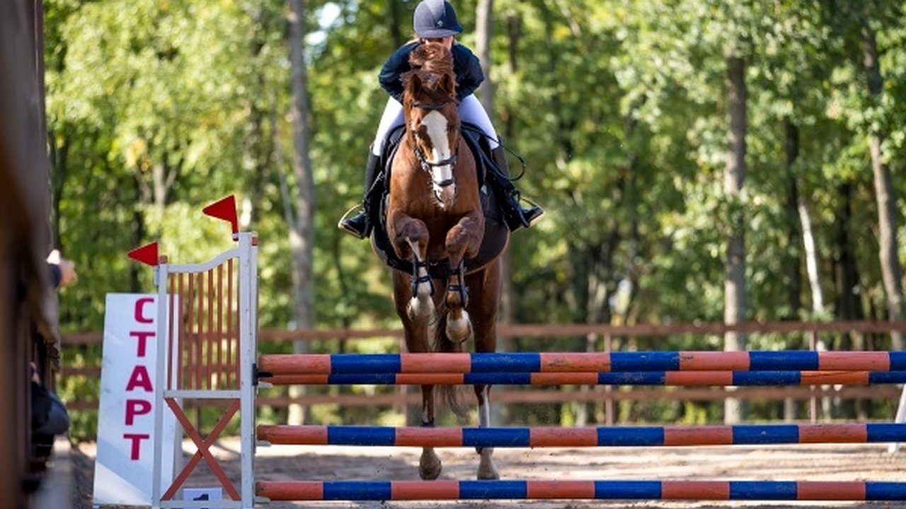 Главная картинка новости: В «Яменской усадьбе» пройдет первенство Воронежской области по конному спорту
