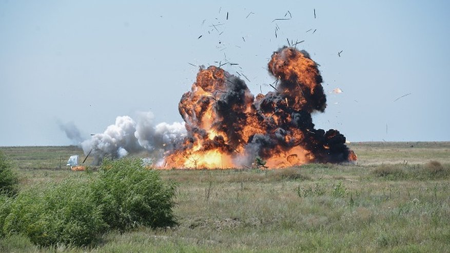 Главная картинка новости: После пожаров на военном полигоне Погоново под Воронежем возбуждено два уголовных дела