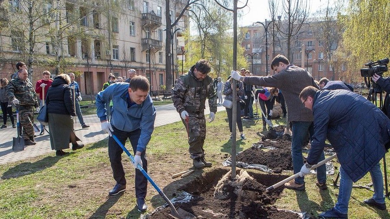 Главная картинка новости: В Воронеже к 25-летию регионального парламента создали «Депутатскую аллею»