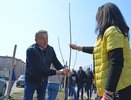 Сенатор Сергей Лукин помог высадить Аллею детства в воронежском микрорайоне Шилово