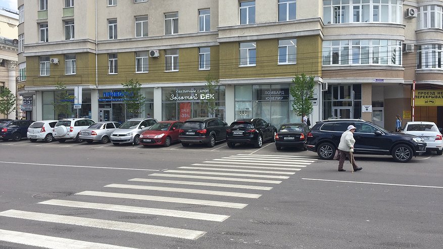 Главная картинка новости: В Воронеже на платной парковке нарисовали зебру