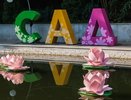 В Воронеже онлайн-фестиваль «Город-сад» обойдется в 5,1 млн рублей