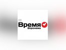В Воронеже обсудят «штрафные» водителям за платные парковки