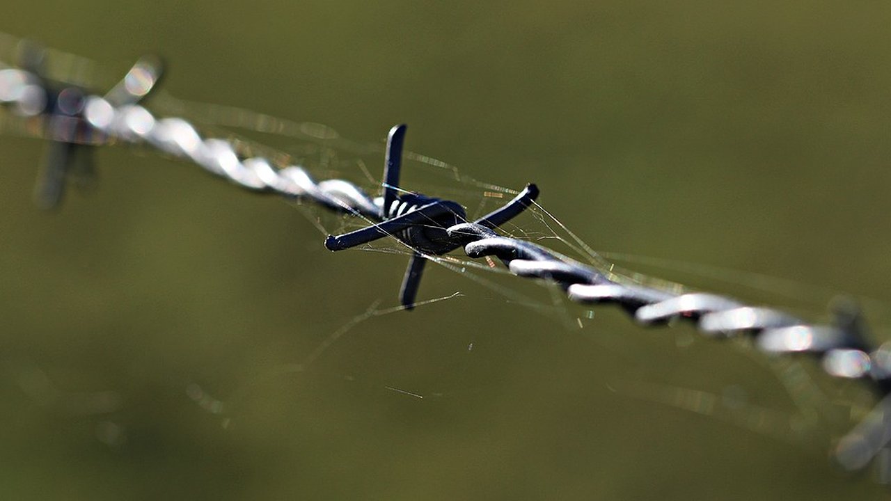Главная картинка новости: Воронежский облсуд отказался смягчить приговор экс-начальнику отдела МЧС за взятки