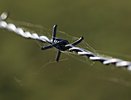 Воронежский облсуд отказался смягчить приговор экс-начальнику отдела МЧС за взятки
