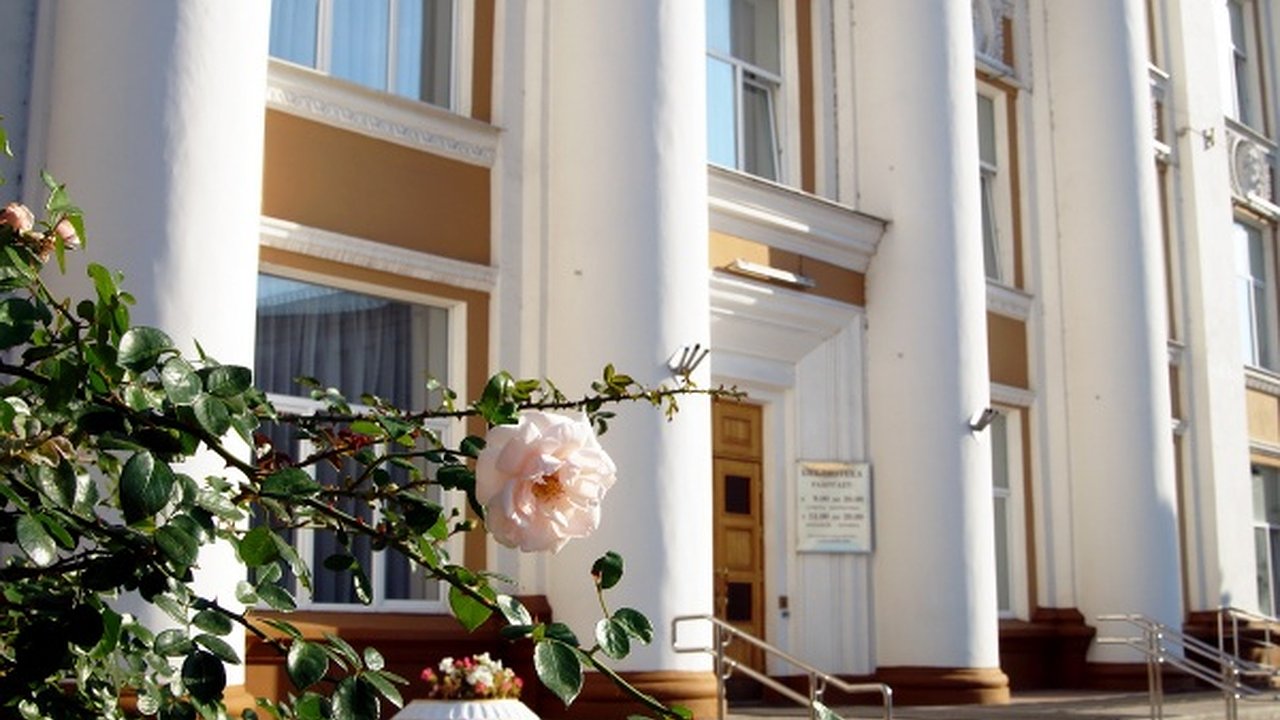 Главная картинка новости: В Воронеже нашли проектировщика для капремонта Никитинской библиотеки