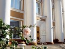 В Воронеже нашли проектировщика для капремонта Никитинской библиотеки
