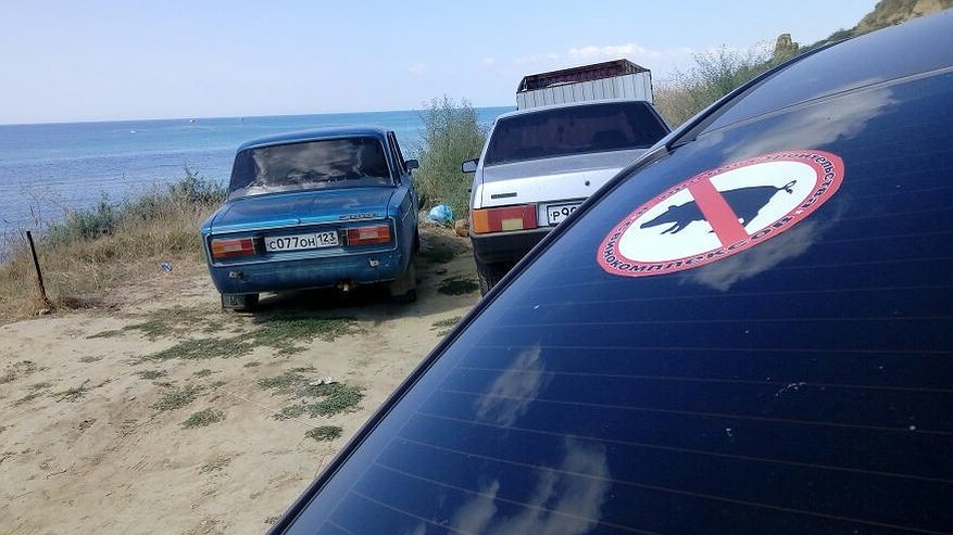 Главная картинка новости: Борьба против свинокомплексов под Воронежем превращается в грубый фарс?