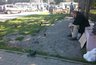 Миниатюра новости: С начала года из воронежских тюрем освободились 1,4 тыс. человек