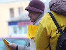 Подручный Ройзмана раскачивает экотему под Воронежем 