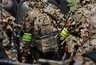Миниатюра новости: В Воронежской области прошли антитеррористические учения на границе с Украиной