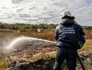 В Воронеже снова горят иловые карты на Антакольского