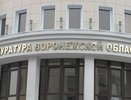 В фан-клубе воронежского «Факела» прокомментировали претензии прокуратуры