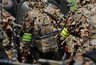 Миниатюра новости: Николай Патрушев заявил о предотвращении терактов в Воронеже в 2019 году