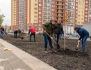 В Воронеже ДСК высадит 300 саженцев 
