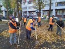 В Воронеже 1,5 тыс. сотрудников ГК «Пик-Комфорт» вышли на субботники в октябре