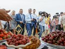 Первое место по производству органических пищевых продуктов в России заняла Воронежская область