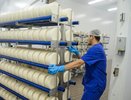 В Воронежской области в 2020 году запустят новый сырзавод