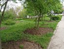 «Сквер раздора» под Воронежем поссорил жителей и чиновников 