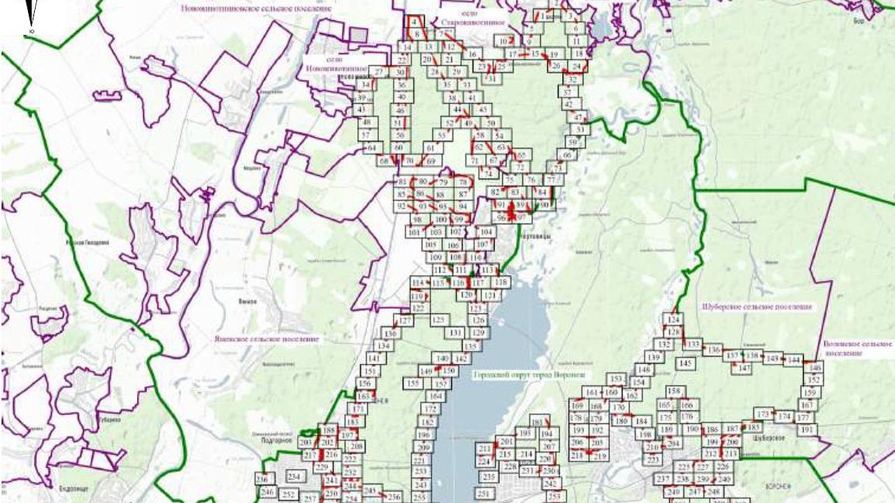 Главная картинка новости: В Воронеже установили границы зеленого пояса